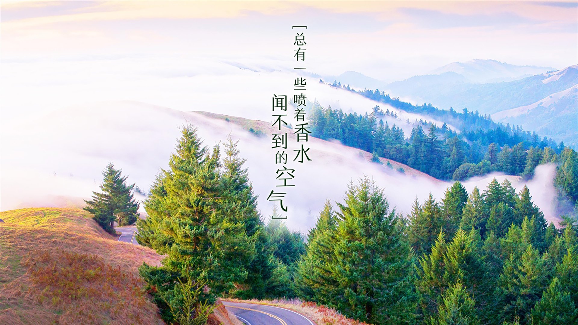 《2025电竞新技术展望：下一代硬件与软件创新》，电竞未来的趋势