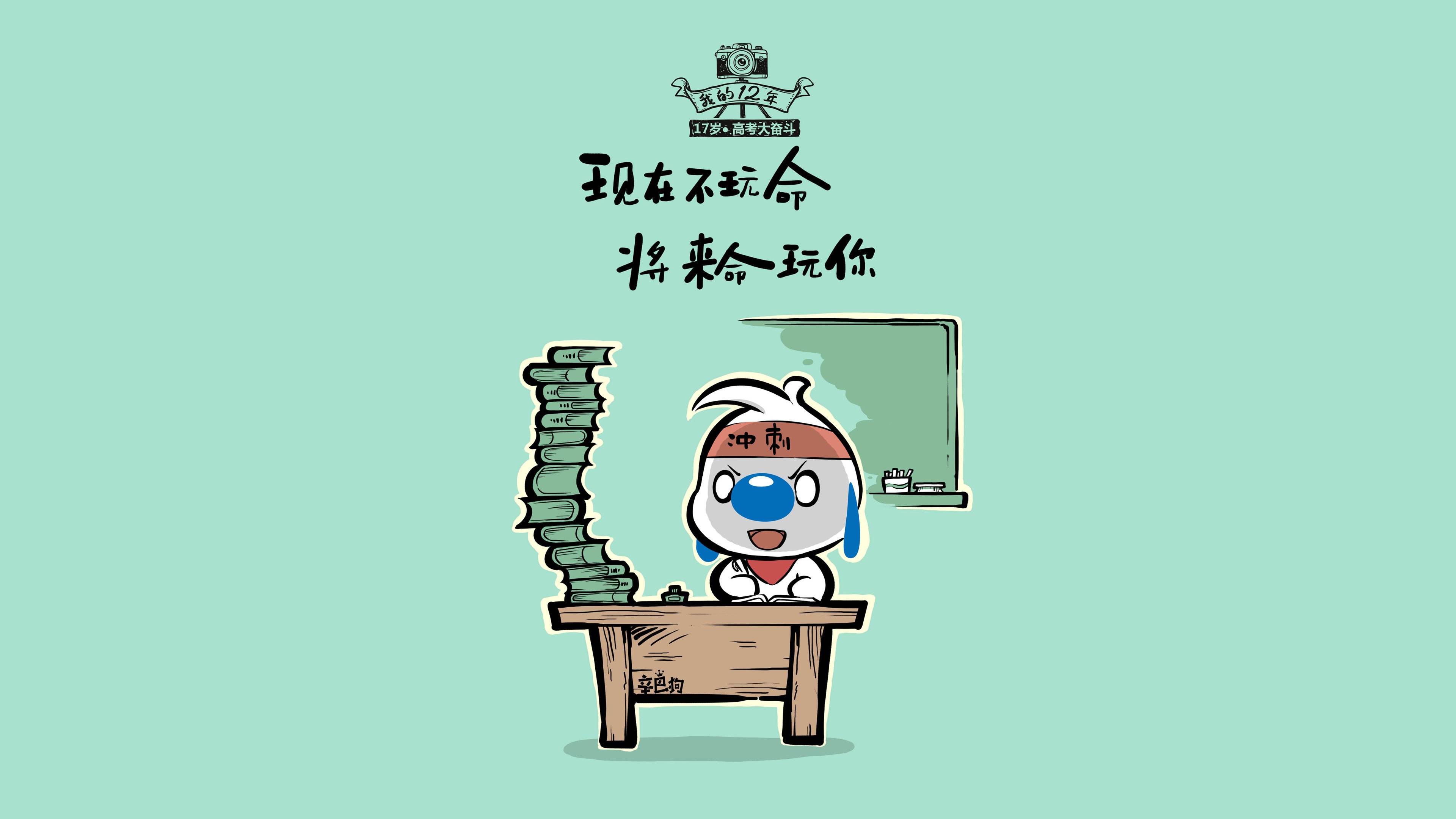 室外骑行嘉年华：绿色出行新体验，户外骑行装备视频