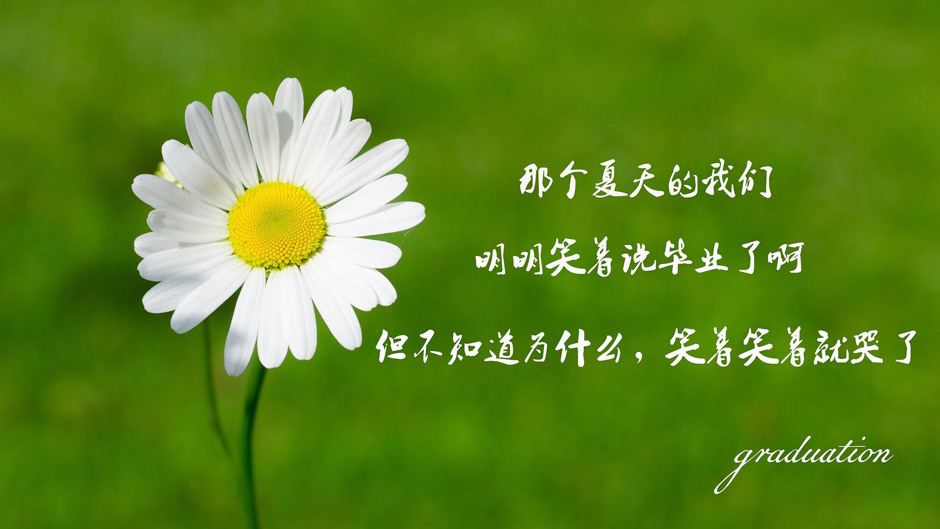 Jiuyou-英超球队关注度持续攀升，海外粉丝疯狂追捧，英超各队球迷数量排名