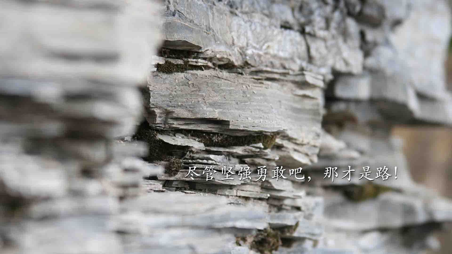 中甲联赛落幕，青岛西海岸顺利升级，青岛西海岸新区足球超级联赛