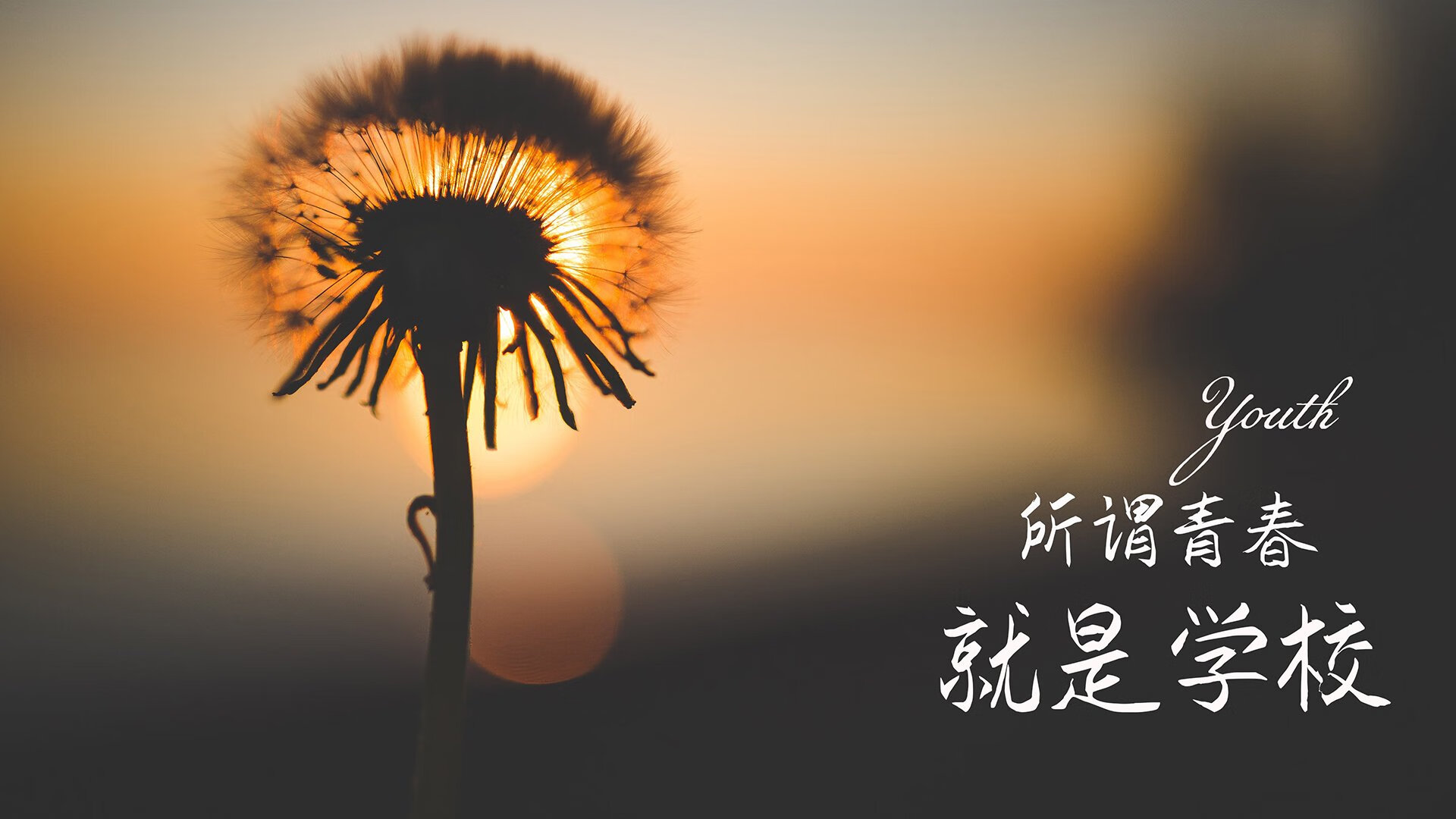 -维达德卡萨布兰卡青训球员升入一线队，展现潜力，航拍卡萨布兰卡