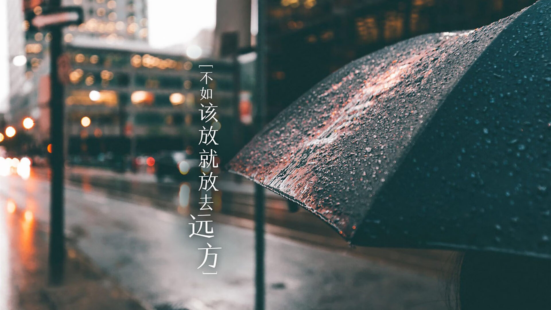 中国篮球青训课程质量提升与改革探索，中国篮球青训现状